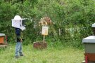 Kind mit Imkerhut vor einem Bienenstand