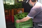 Ein Mann holt Kisten mit Gemüsepflanzen aus dem Auto.