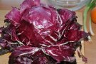 Radicchio von der Umhüllung gesäubert.