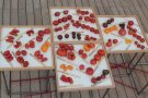 Tomatenvielfalt auf Tischen