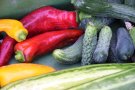 letzte Sommergemüse: Gurke und Paprika