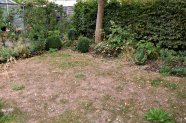 vertrockneter Rasen im Garten