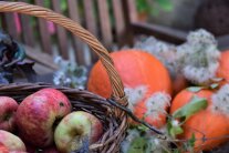 Erntedank im Herbst