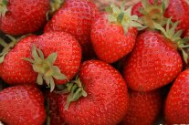 Erdbeeren allgemein