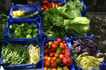 Ernte aus dem Gemüsegarten