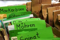 Samenpäckchen Ordnung