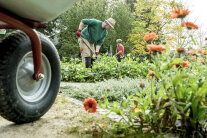 Schaugarten Gartenarbeiten Fgh