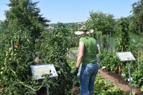 Gießen im Garten