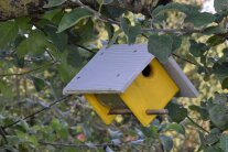 Leuchtend gelber Nistkasten