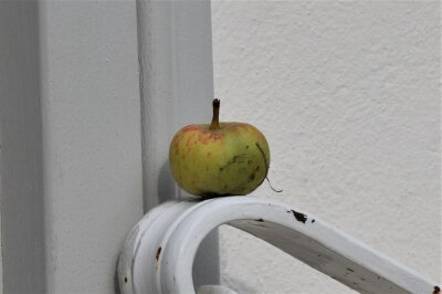unbekannter Apfel liegt auf Geländer