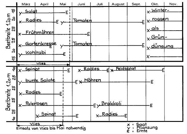 Schematische Zeichnung einer Kulturfolge für verschiedene Gemüsearten