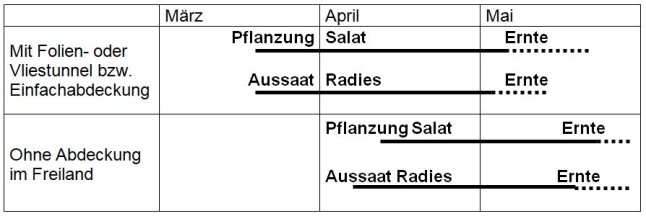 Schematische Darstellung der Ernteverfrühung mit und ohne Vlies oder Folie