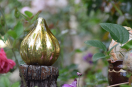 Stilleben - goldene Zwiebel im Garten