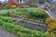 Schaugarten im Herbst