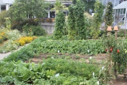 Gemüsegarten_Schaugarten Veitshöchheim