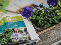 Ein Flyer mit einer Frau die Salatsetzlinge hält liegt auf einer Holzpalette neben Blumen.