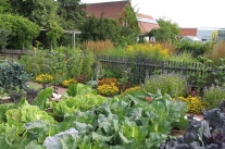 Blick in einen Bauerngarten