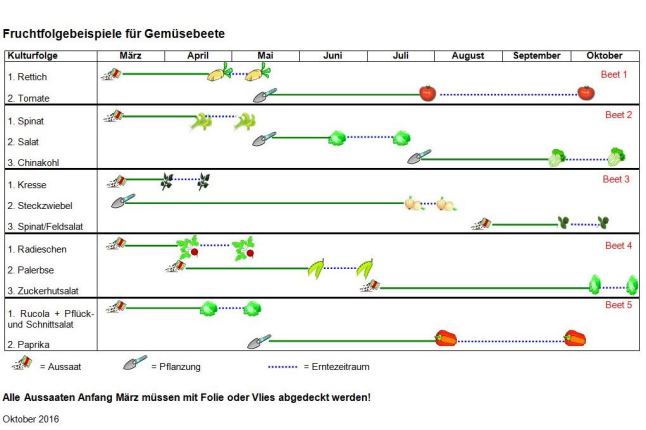 Darstellung eines Beispiels für eine Fruchtfolge im Gemüsegarten.
