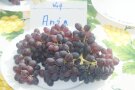 Trauben mit ovalen, dunkelrot Beeren auf dem Teller und Etikettenschild.