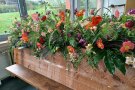 Blühende floristische Blumen in Holzkasten geschmückt auf dem Tisch vor dem Fenster.