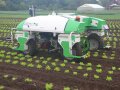 Hackroboter Dino bei der Anfahrt auf einem Salatfeld