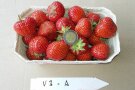 Eine Beerenschale mit Erdbeeren und Zwei-Euro-Münzen zum Vergleichen davor Etiketten.