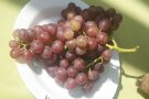 Trauben mit rot-grünen Beeren auf dem Teller.