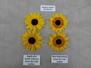 Vier Sonnenblumenblüten im Viereck gelegt mit Etikettenbeschriftung