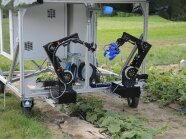 Robotererntesystem CATCH im Feldversuch