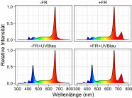 Bildlich dargestellte Spektren zur Anzucht von Topfbasilikum im Mehrlagenkulturraum
