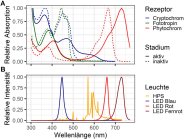 Die Absorptionsmuster von Phytochrom, Cryptochrom und Fototropin überlappen mit dem emittierten Lichtspektren der LEDs.