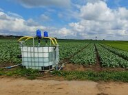 Tank mit Düngerlösung auf einem Kohlrabiacker