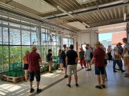 Besuchende vor dem Auberginen Gewächshaus
