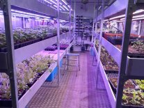 Das Innere eines Beispielcontainers einer Vertical Indoor Farm der Firma GREATIT