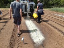 Das flüssige Optimulch-Material wird auf dem Feld aufgesprüht