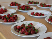 Teller mit reife Erdbeeren und Nummern auf dem Tisch