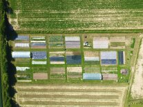 Verschiedene Feldparzellen als Drohnenaufnahme