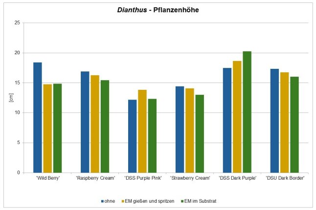 Pflanzenhöhe der Nelkenpflanzen in Zentimeter als farbigen Diagramm dargestellt.