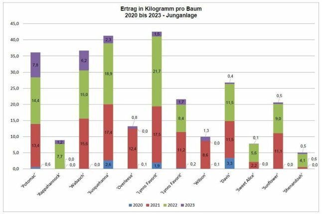 Farbige Säulendiagramm mit dem Ertrag in Kilogramm pro Baum in den Jahren 2020 bis 2023.