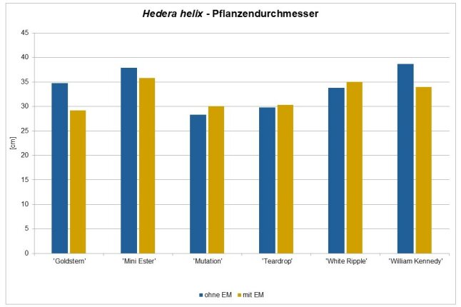 Pflanzendurchmesser der Efeupflanzen in Zentimeter als farbigen Diagramm dargestellt.