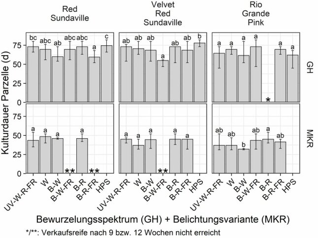 Diagrammbalken mit Kulturdauer vom Bewurzelungsspektrum der Mandevilla