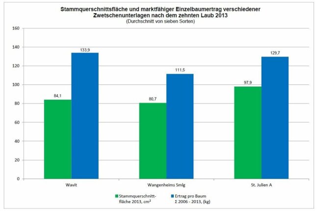 Zweifarbige Diagrammsäulen mit Stammquerschnittsfläche und marktfähiger Einzelbaumertrag.