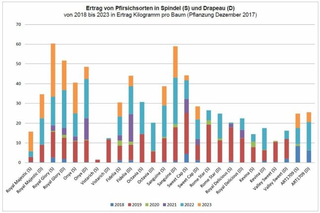 Farbige Säulendiagramm mit durchschnittlichem Ertrag von ausgewählten Pfirsichsorten.