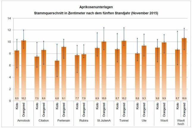 Säulendiagramm der Stammquerschnitt in Zentimeter nach dem fünften Standjahr dargestellt.