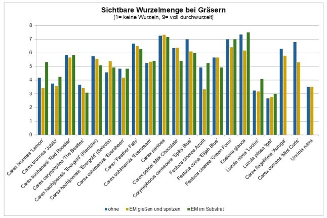 Sichtbare Wurzelmengen bei Gräsern als farbigen Diagramm dargestellt.