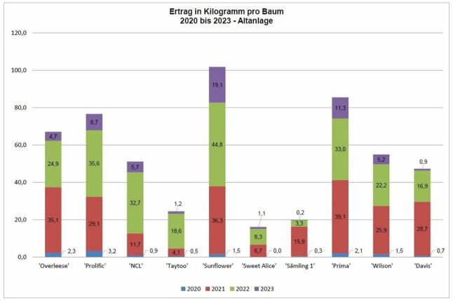 Farbige Säulendiagramm mit dem Ertrag in Kilogramm pro Baum in den Jahren 2020 bis 2023.