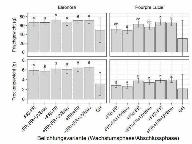 Diagrammbalken mit der Auswirkung auf Gewicht der Pflanzenteile von Topfbasilikum