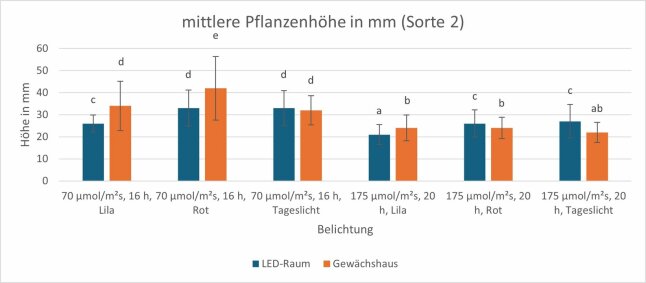 Pflanzenhöhe von zwei Belichtungsstrategien als Säulendiagramm dargestellt.