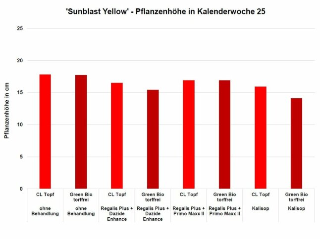 Säulendiagramm mit roten Säulen, die Pflanzenhöhe in Zentimeter beschreiben