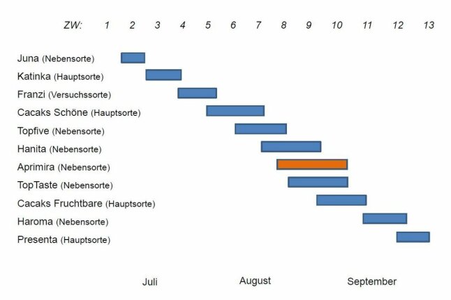 Zweifarbige Diagrammbalken sortiert nach Reifezeit der Zwetschgen von Juli bis September.